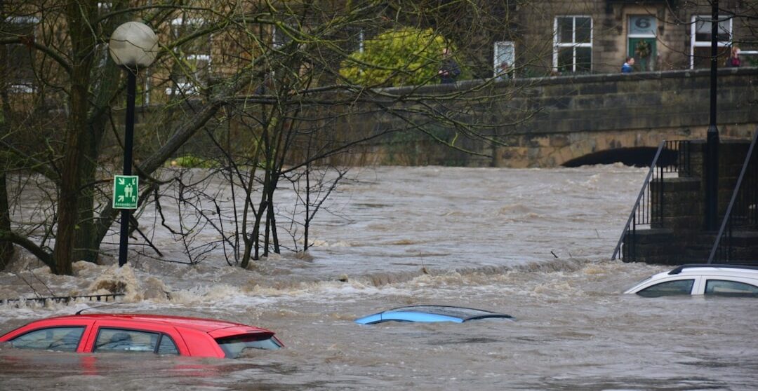The Economics of Climate Change Mitigation: Policy Instruments and Market-Based Solutions
